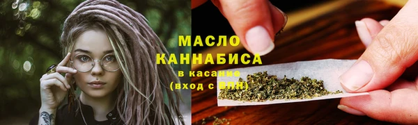 индика Верея