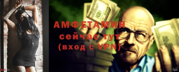 индика Верея